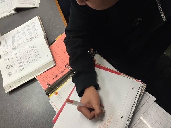 Students tend to do worksheets for homework or assignment from the textbook.
