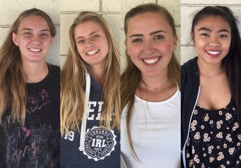 New Kids on the Block (and one Professional)