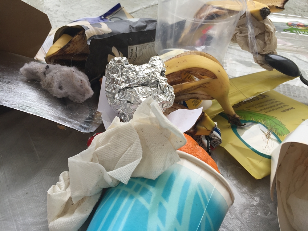 Carrying my garbage for a week allowed reflection of my lifestyle