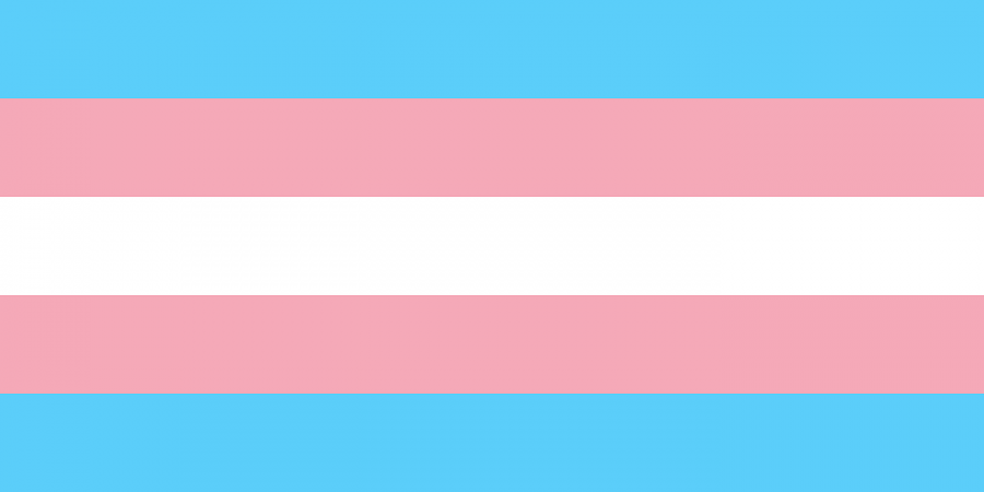 The use of bathrooms by transgender people has been an up and down battle over recent months. Photo courtesy of Wikipedia.