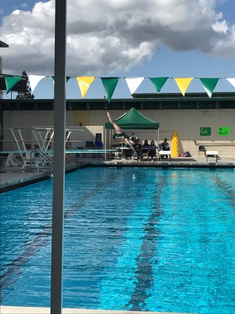Varsity+Captain+Junior+Anna+Dupin+does+a+back+dive+pike+at+the+meet+last+Tuesday.%0ADupin+has+been+diving+for+five+and+a+half+years+and+qualified+for+CCS.%0A