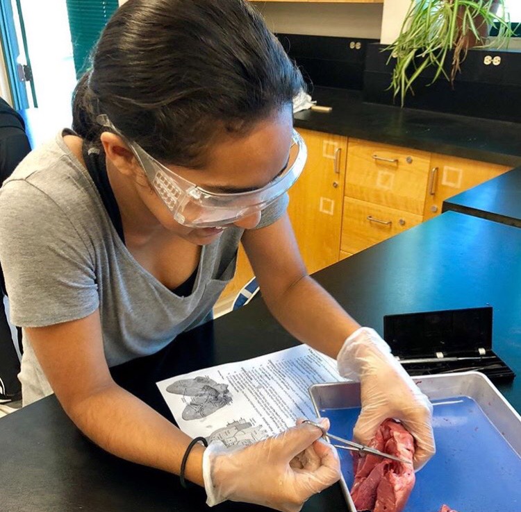 Junior Anushka Saran dissected a pig heart during one of FPA’s workshops.