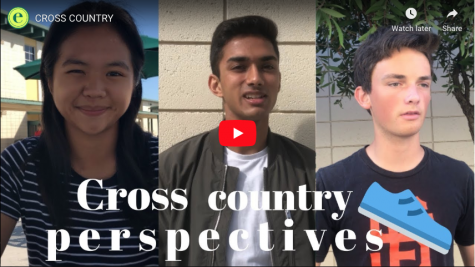 Cross country perspectives