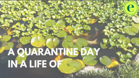 A quarantine day in a life of a student