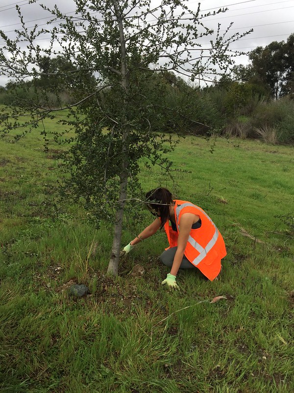 Member Hannah McGoran takes her passion further and volunteers outside of NHS. 