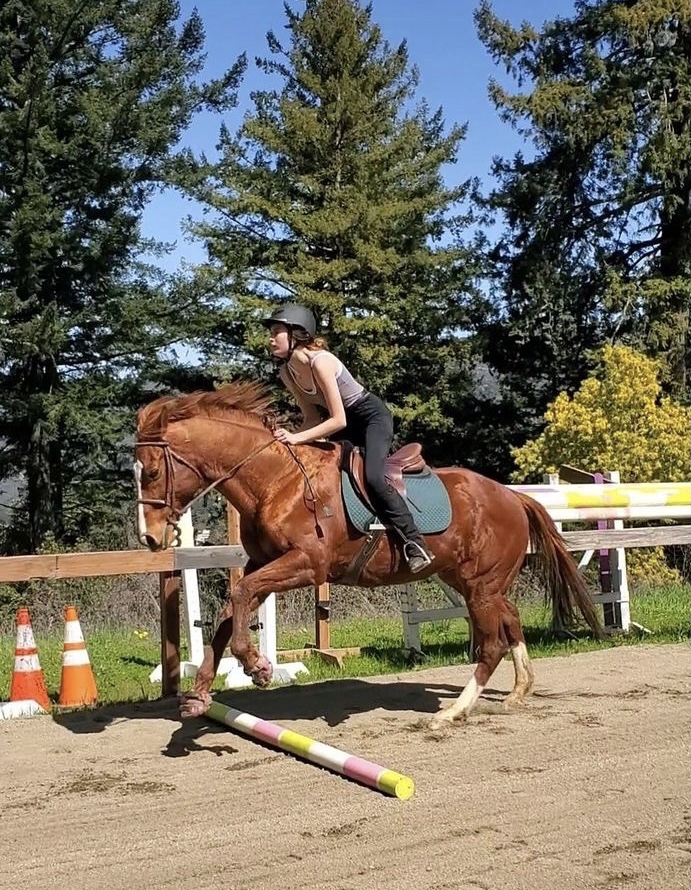 Sophomore Addison Heidemann said she feels horseback riding is both exhilarating and nerve-racking.