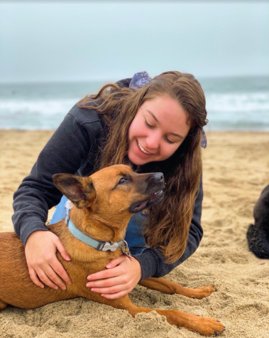 To the rescue: Marissa Young spending quality time with her foster dog.

