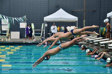 Boys varsity swimmers dive into action in a race against Gunn.