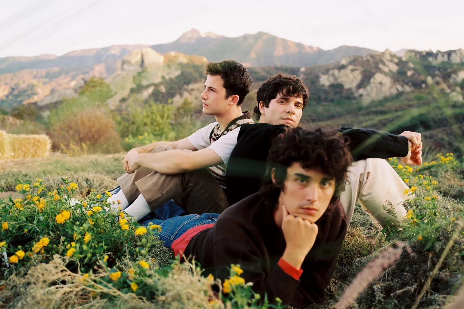 Tell Me That It's Over - Album by Wallows