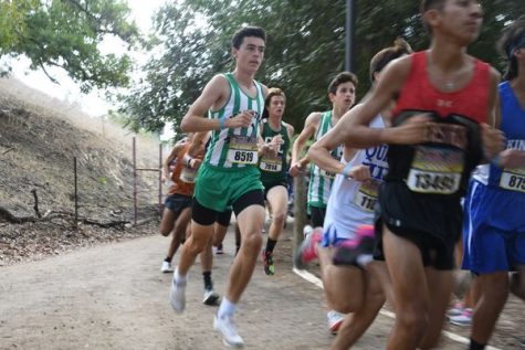 Cross country competes at CCS