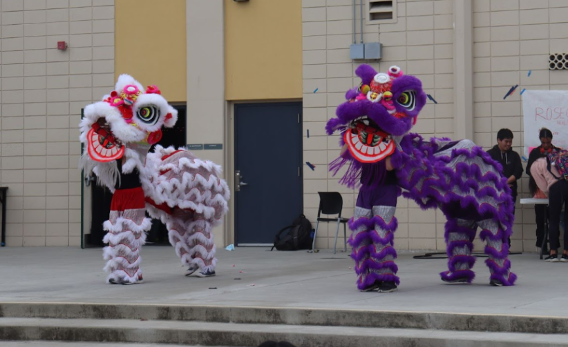 Lin said she hopes to make the lion dance performance a yearly tradition for the club.
