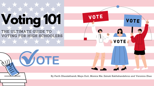 Voting 101: the ultimate guide to voting for high schoolers