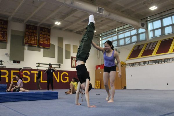 Balancing two worlds of club and school gymnastics