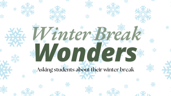 Winter break wonders