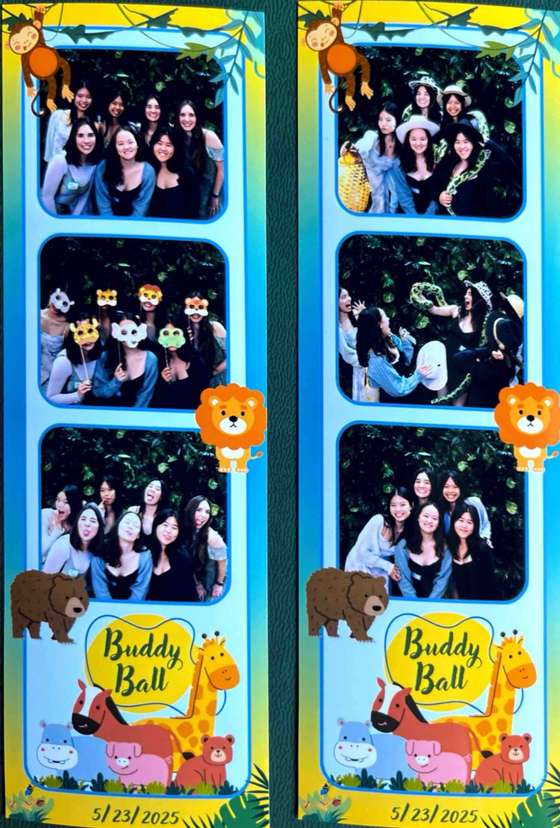 From supplies to posters, Breiner said planning the safari-themed Buddy Ball required attention to detail. (Photo courtesy of Carlie Breiner)