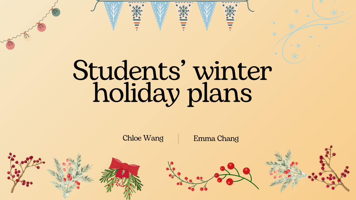 Students’ winter holiday plans
