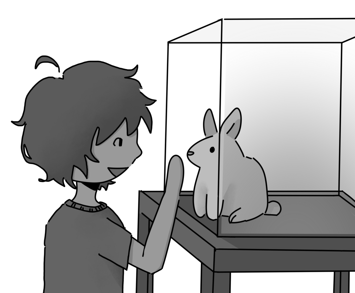 Class pets have many benefits, such as teaching students life lessons and emotionally supporting them.