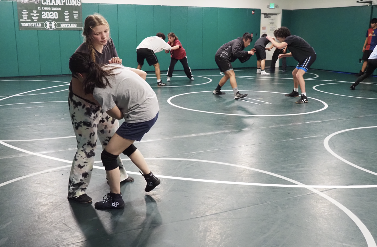 Students often do not want to join wrestling because of the physicality of the sport, Anderson (left) said.