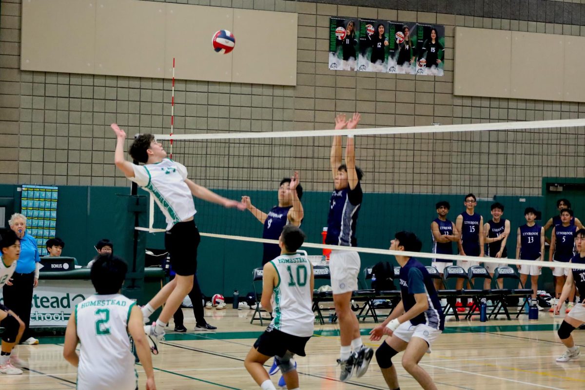 The Mustangs combined strong offensive strategies with a good defensive line to sweep the Lynbrook Vikings 3-0. 