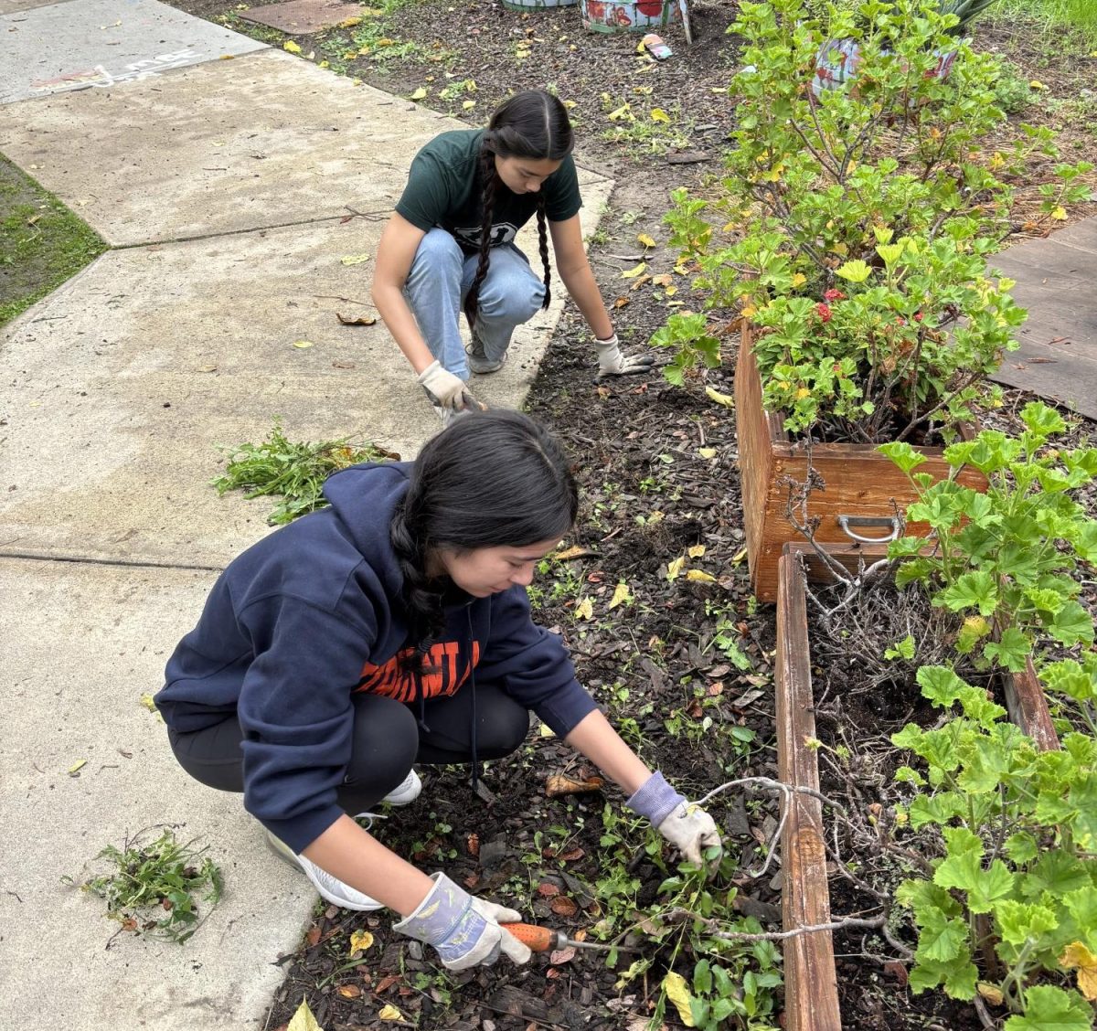 Project Gloves provides students with unique ways to support local gardens and make a community impact, Tessone said. (Photo courtesy of Sean Tessone)
