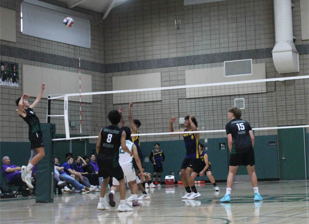 Despite making persistent efforts and several comebacks, the Mustangs ended with a 1-3 loss. 
